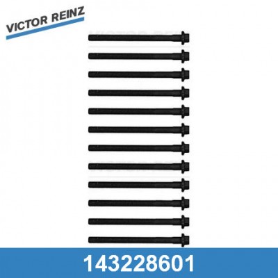 Комплект болтов головки блока цилиндров Victor Reinz 143228601
