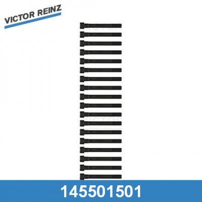 Комплект болтов головки блока цилиндров Victor Reinz 145501501